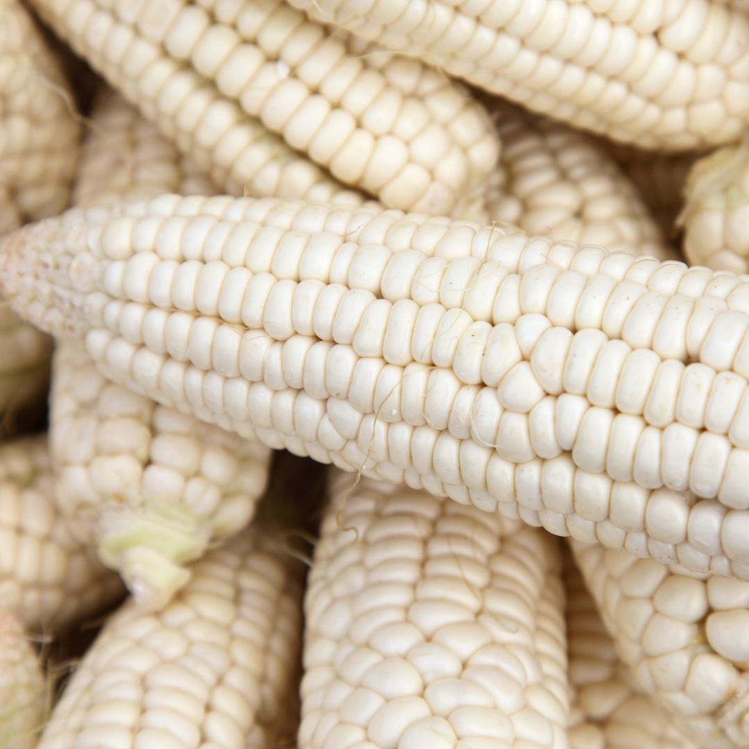 corn