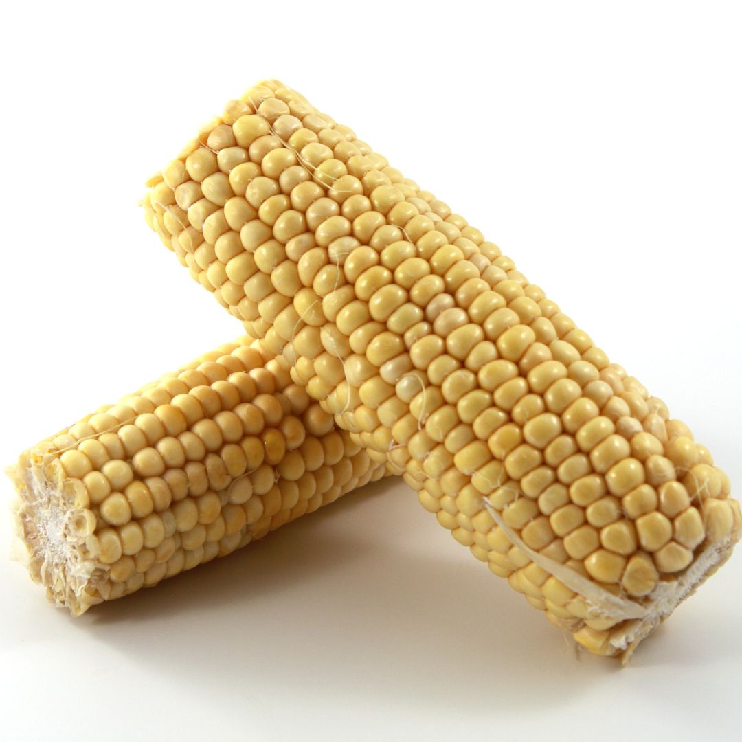corn(2)